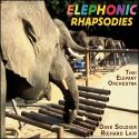 elephant orchestra cover