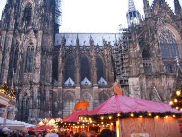 Cologne